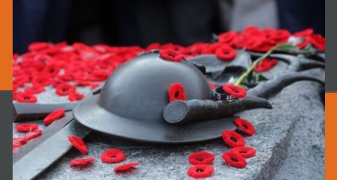 Alt text for the image