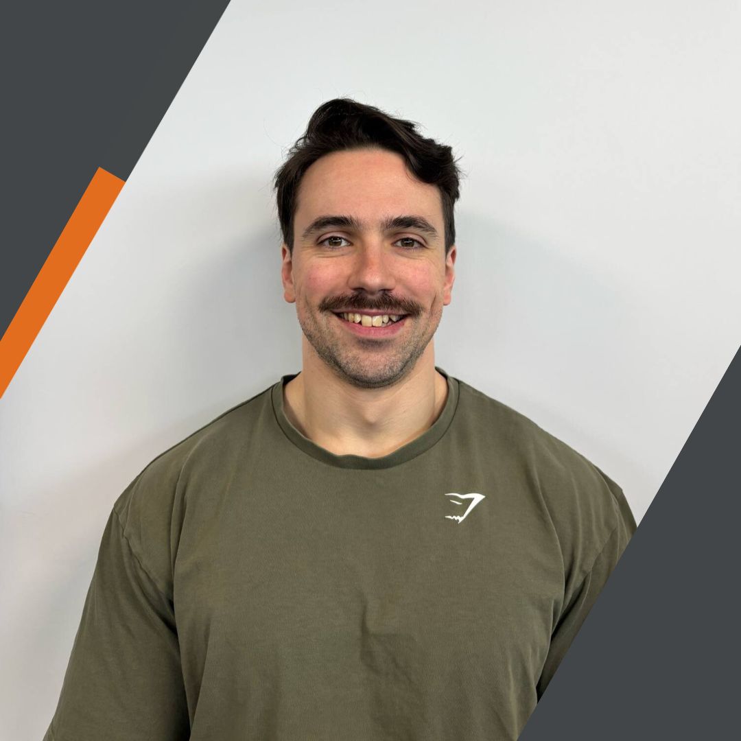 Alt text for the image