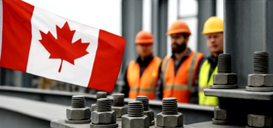 Alt text for the image