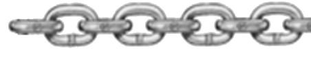 STAINLESS STEEL 316 CHAIN 1/4" | Chain